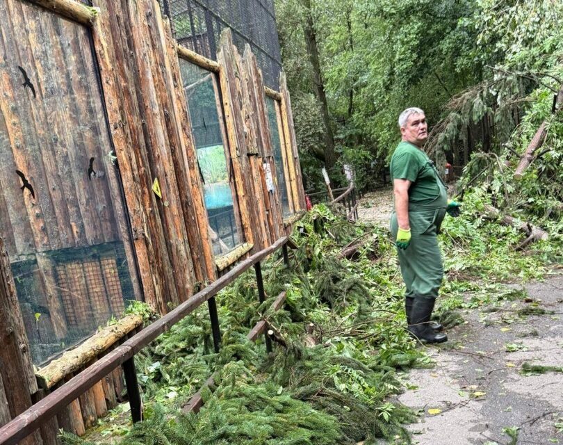 Angajat al Grădinii Zoologice din București lângă cuști