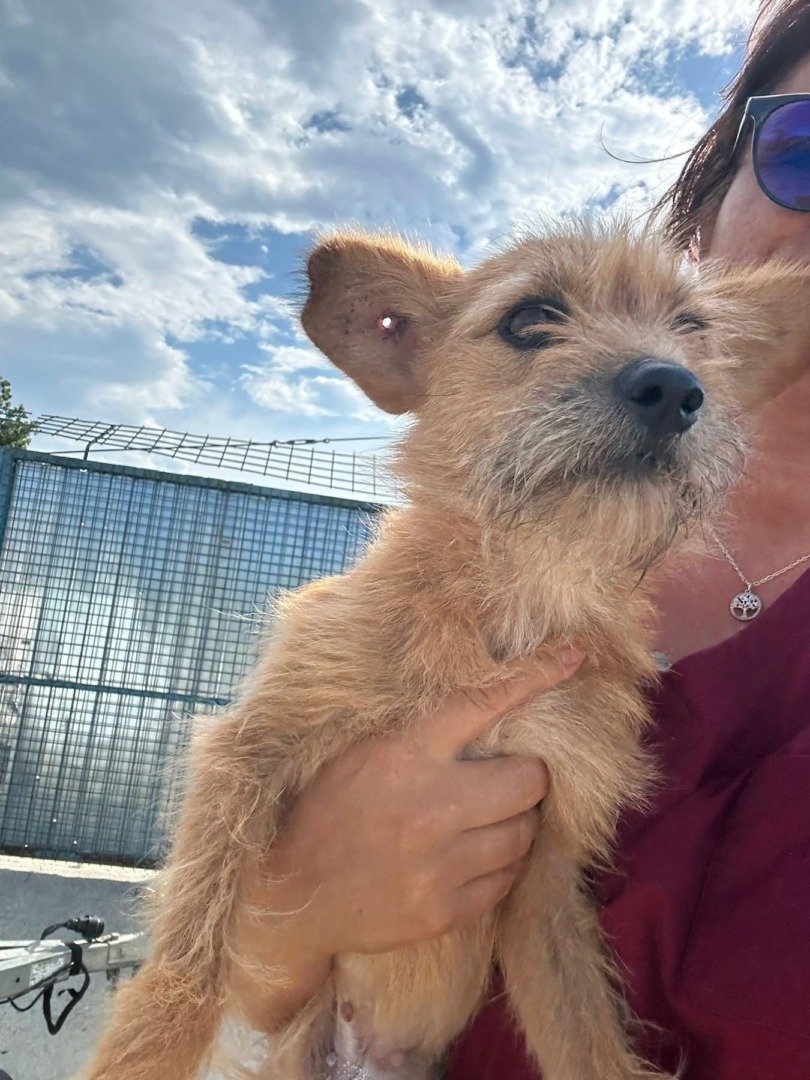 520935861_1284715709892805_4550261133028992421_n