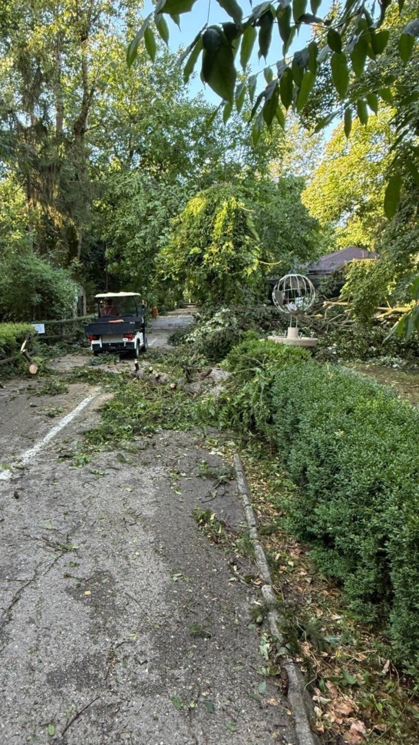 521319385_1069567648684272_7150139782778936229_n