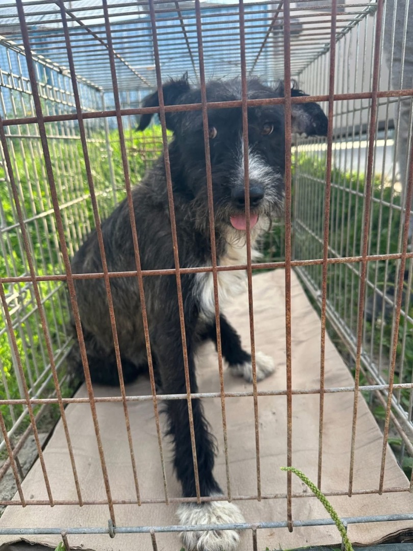 522116213_1284715646559478_7365253757534672440_n