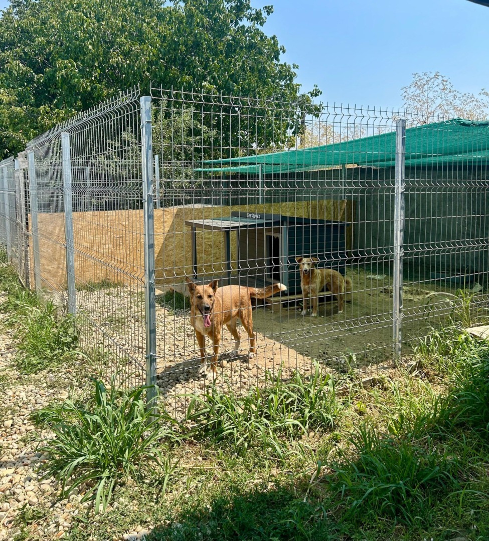 522641581_1089085516709918_403814281288692278_n