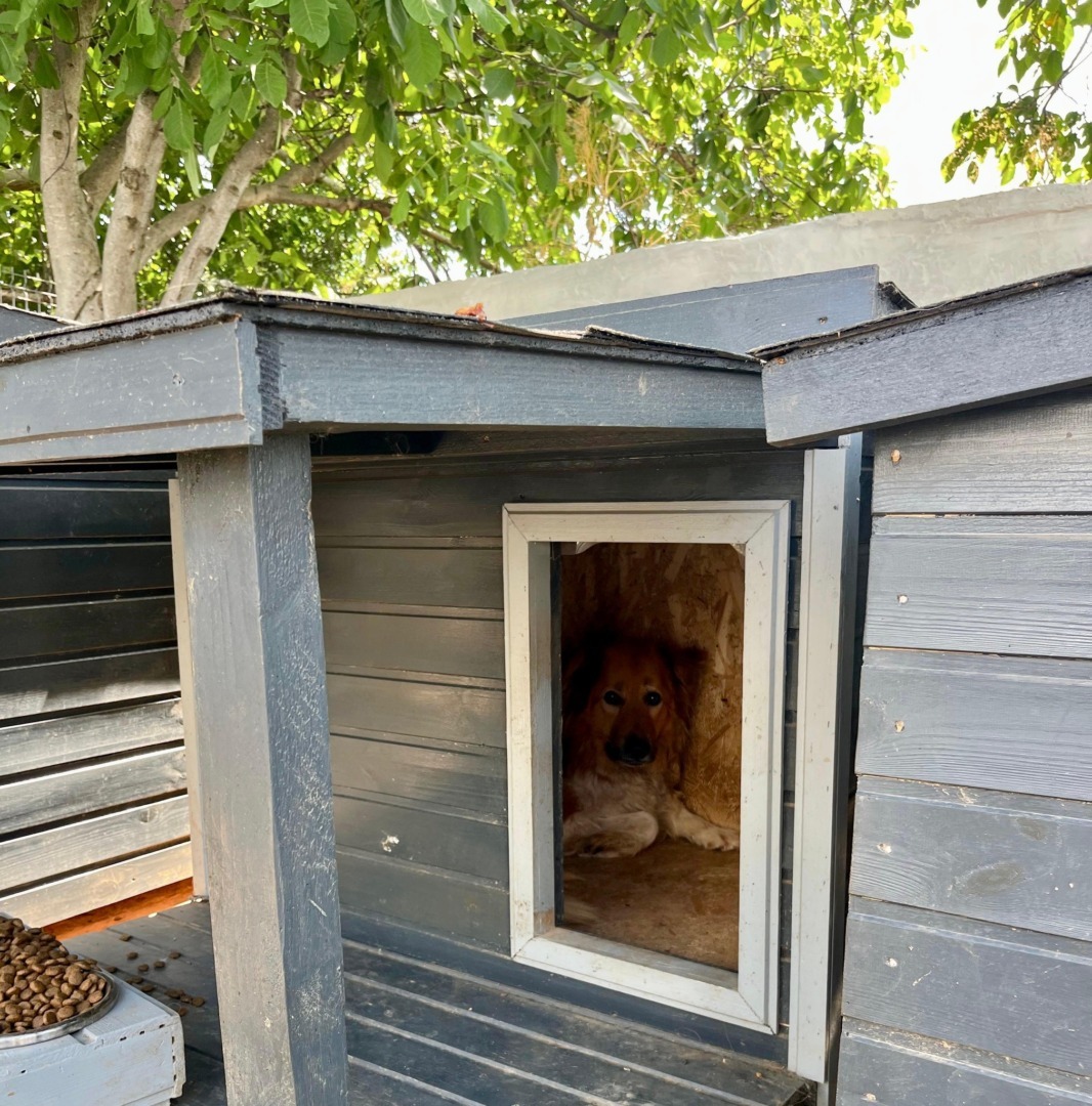 522645556_1089085430043260_8191617114412807691_n