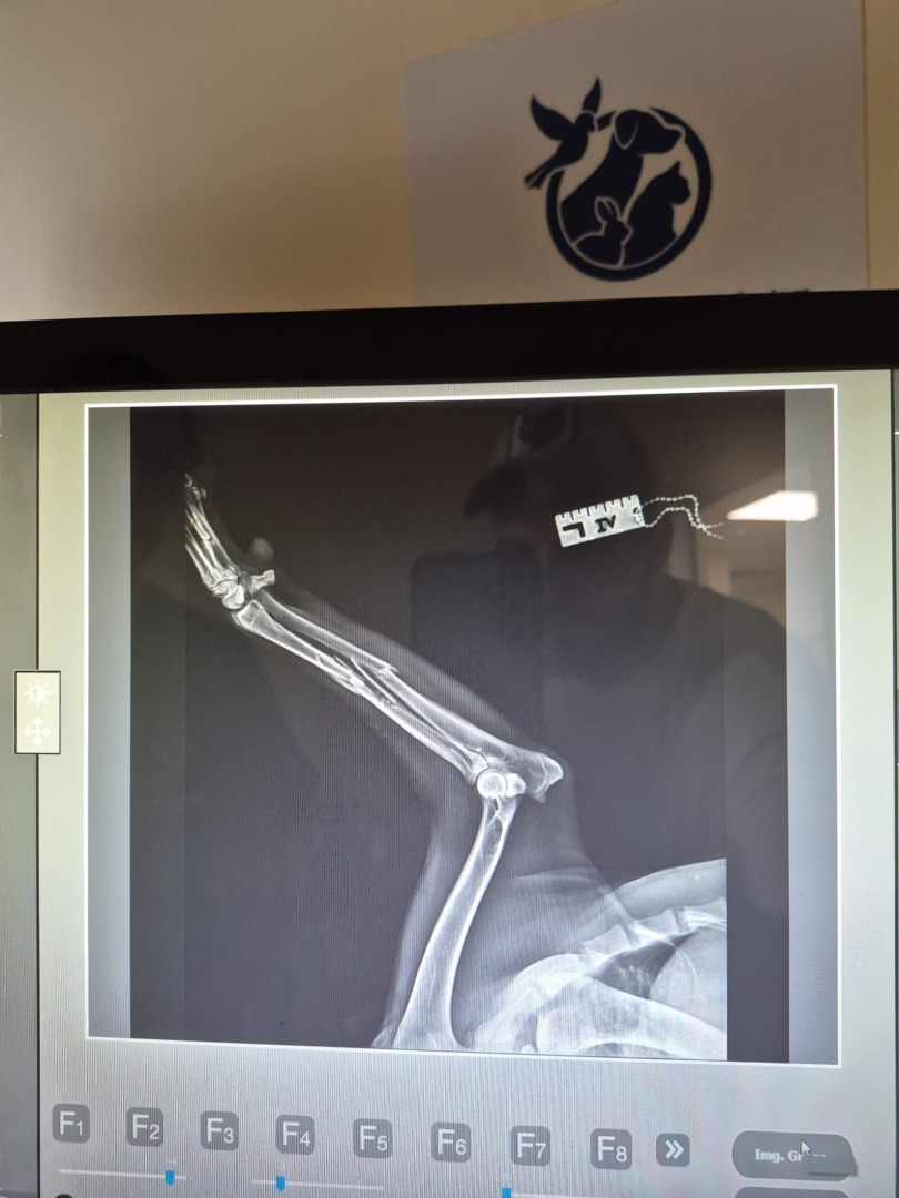 522721409_761922806204347_2145322132814298518_n