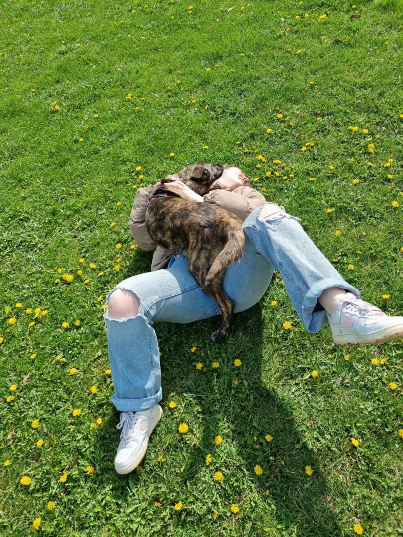 523011132_1086288523656284_7600236078161414771_n