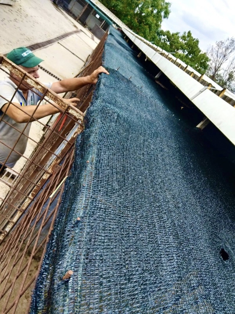 523291314_122145943106760245_1476760324661442451_n