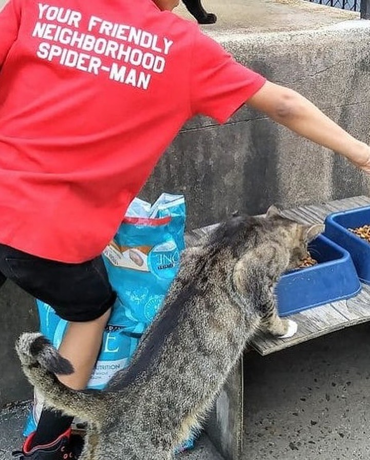 523373799_18280773838285823_9016027333350176480_n