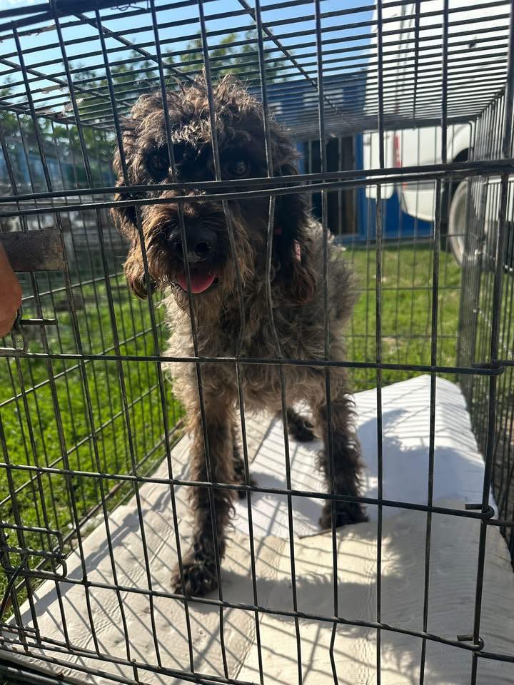 523852892_1284712629893113_6609799027003953443_n