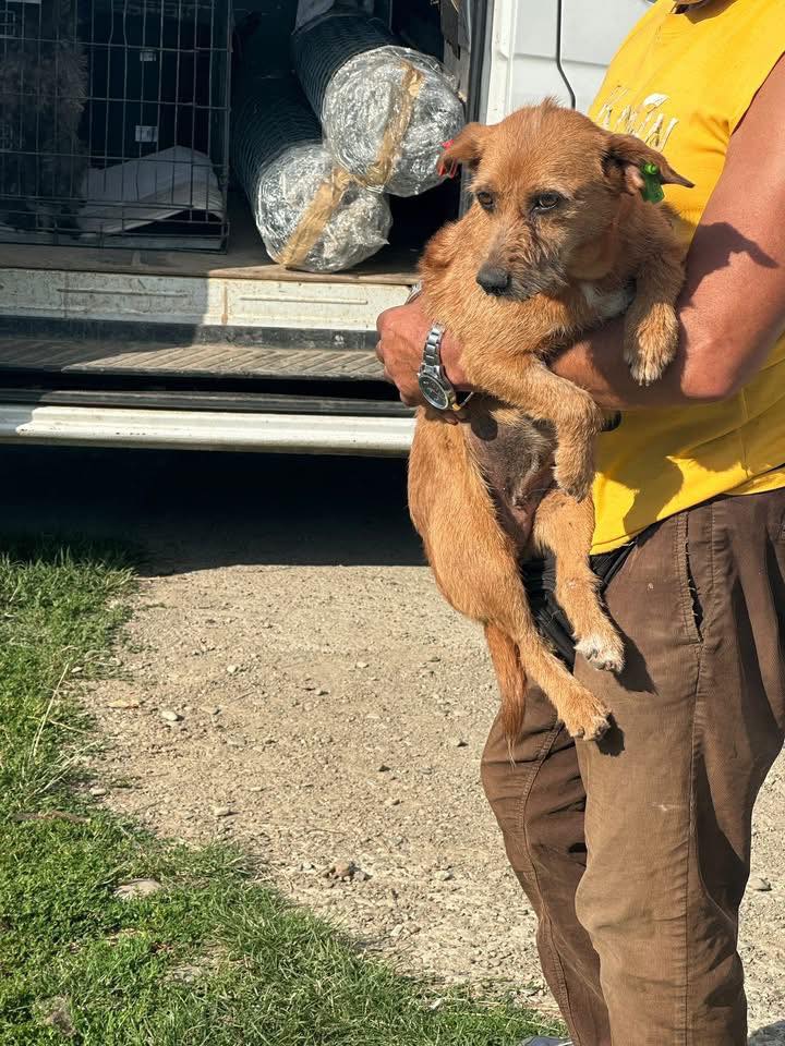 524148964_1284712569893119_2849807209252154944_n