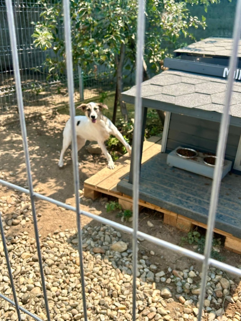 524334477_1089085433376593_4178946497054467244_n