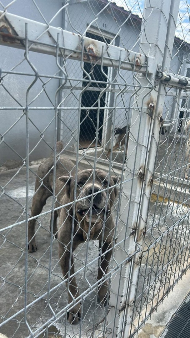 56aa6e7d-7b24-4859-8cda-b36495014381