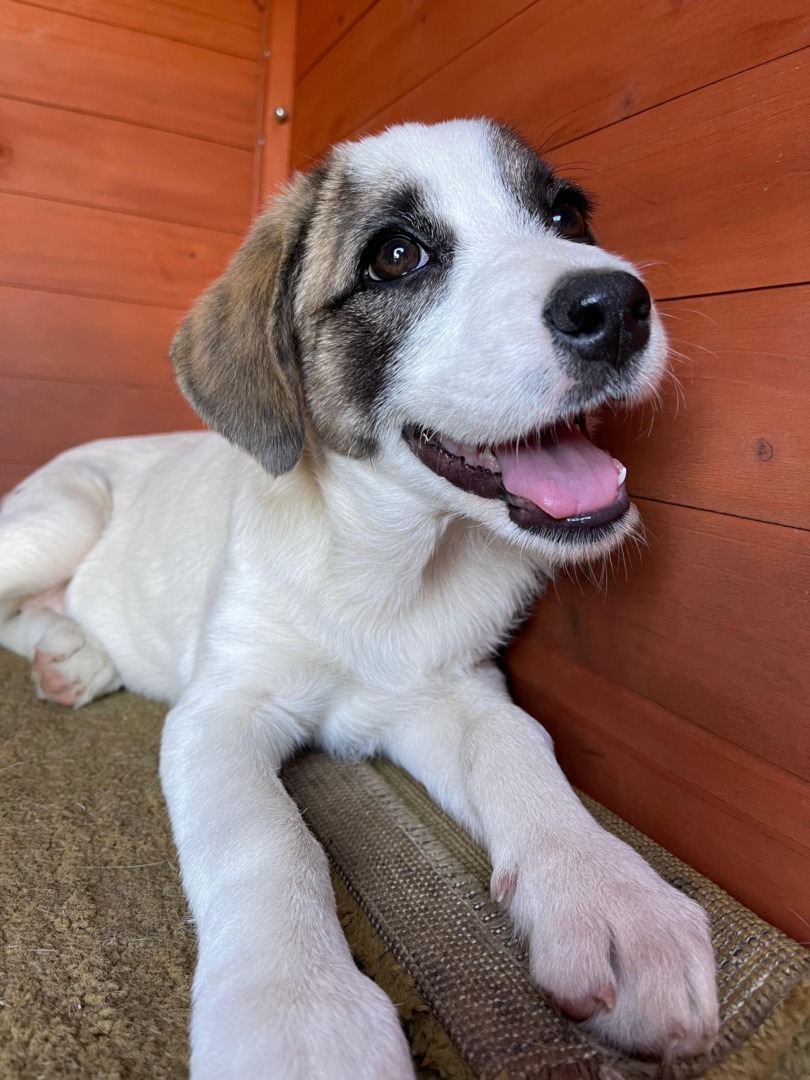 5cce64a3-e8bb-43a6-b65d-be79635da864