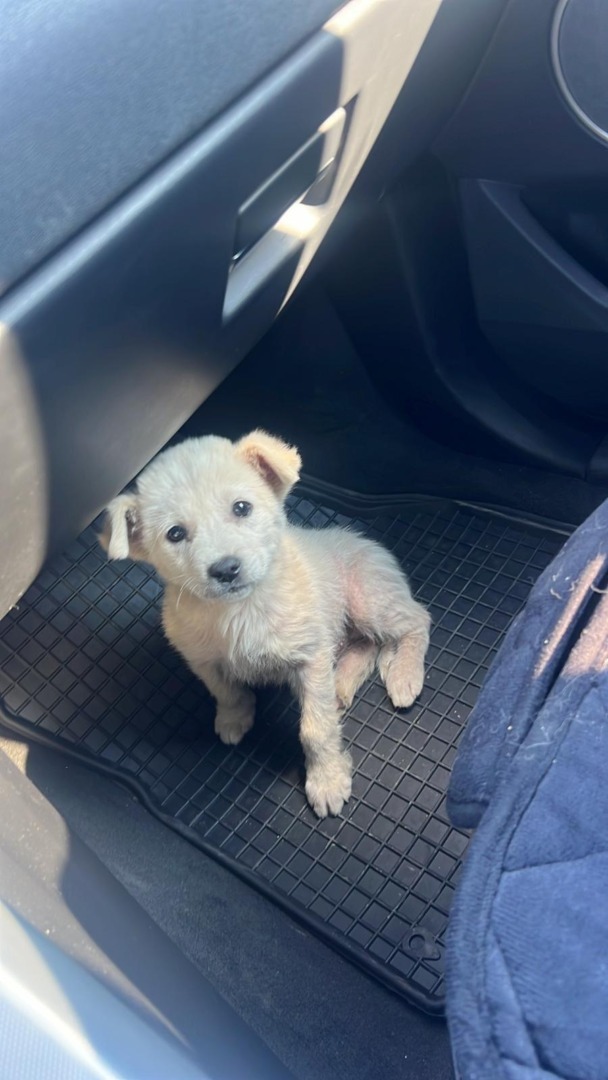 5d4a92aa-bea8-4231-8b57-7a53b68bcc6f