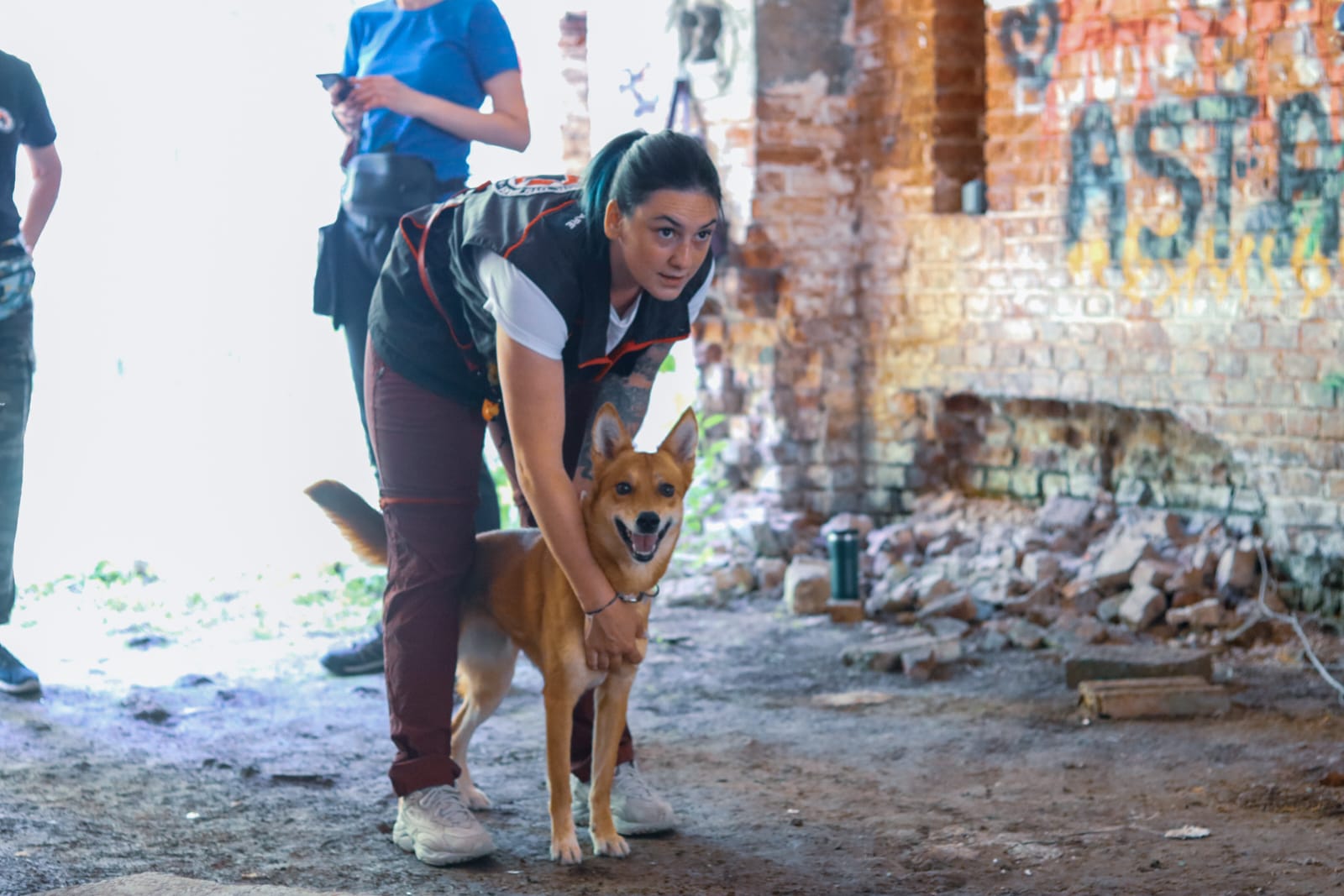 5d75f54b-68cf-4f62-b08b-ee97e23b585c