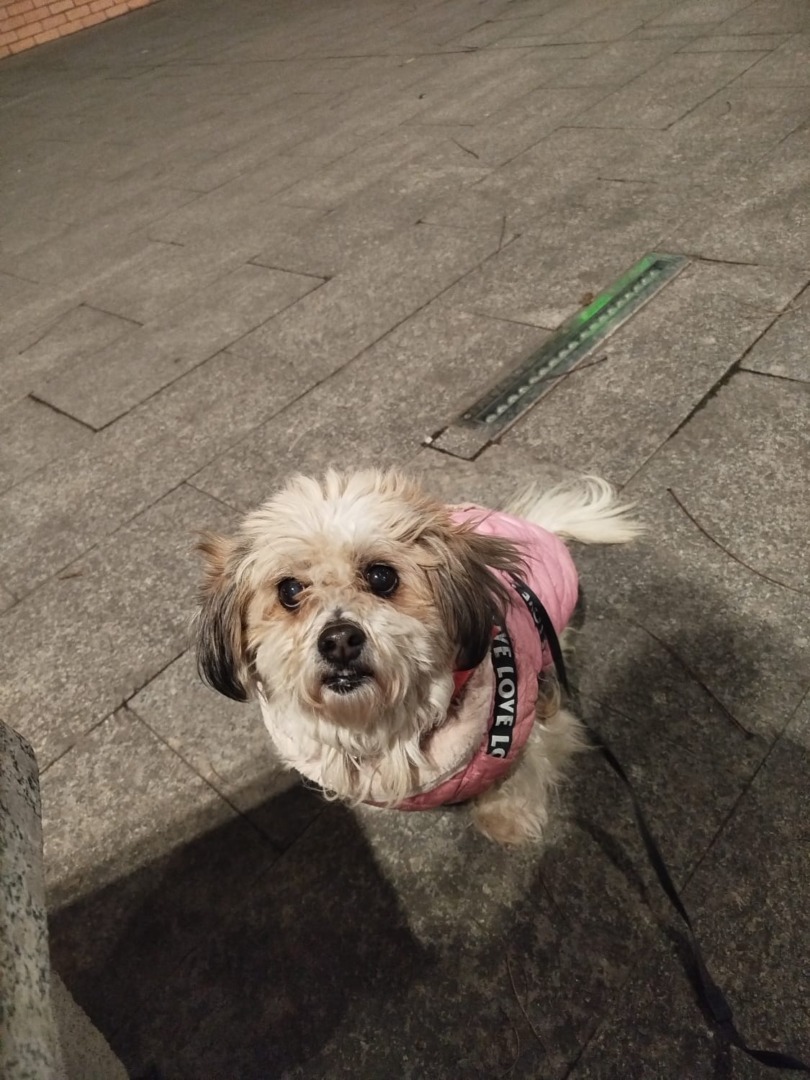 5e0f801e-499e-495a-82c5-a75e42a36599