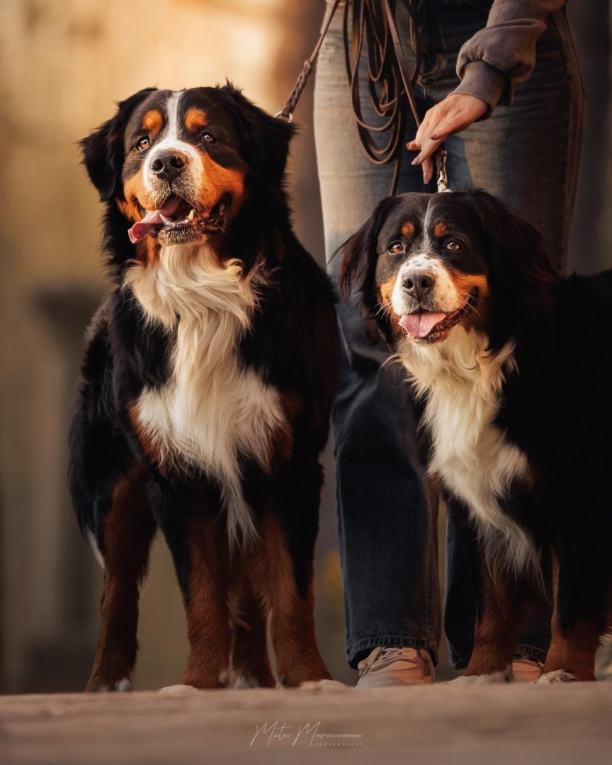 6499e8f1-c117-4cd1-b829-32bac6186d52