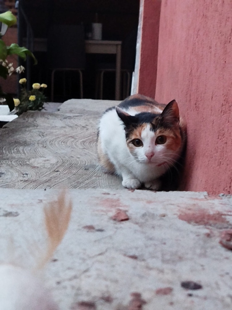 650843f0-6a84-4d18-9f36-c8b905e62a50