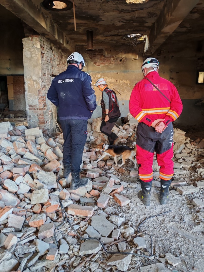 7a6b9496-7c38-4450-8a9b-e2f5dee32875