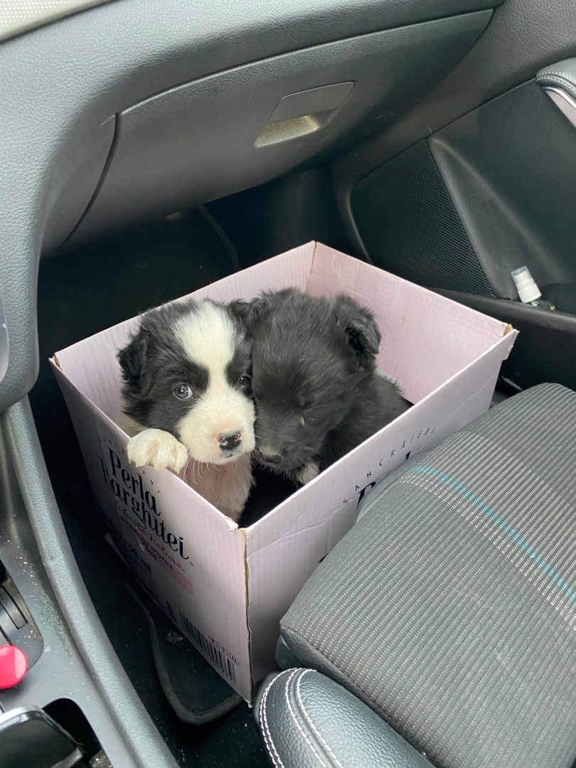 7c4cd71a-8f28-4241-8de9-304ef62f46ee