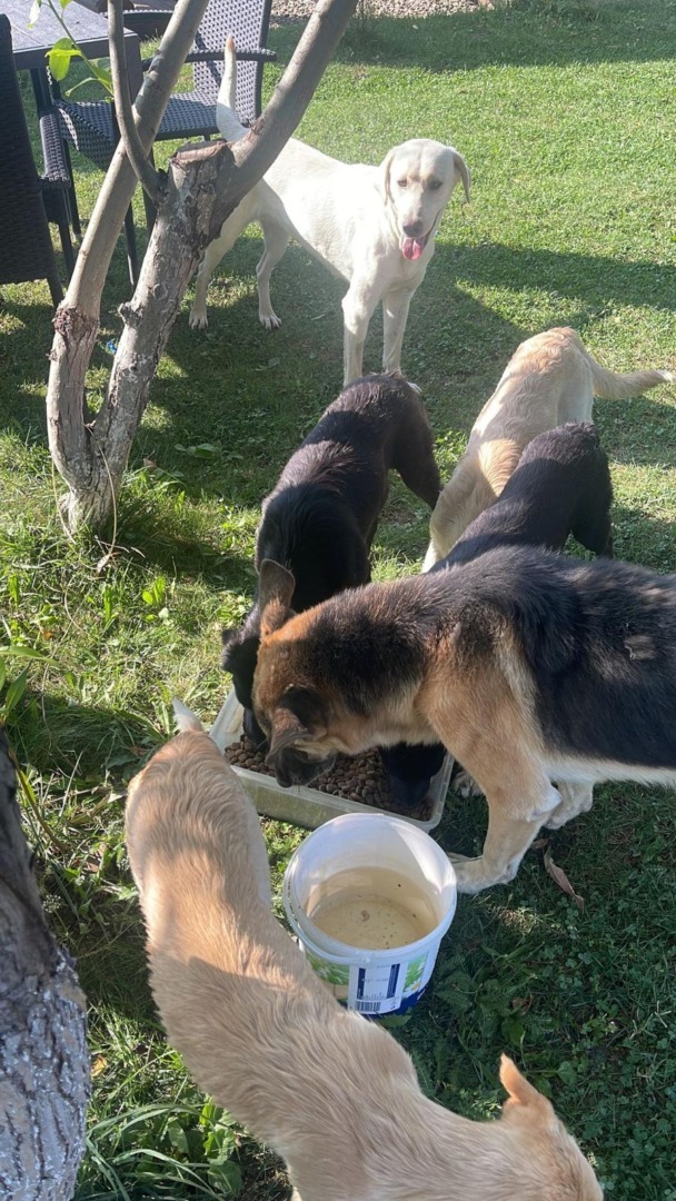 81517a58-ecc2-4b47-93d6-2f69a41fc587