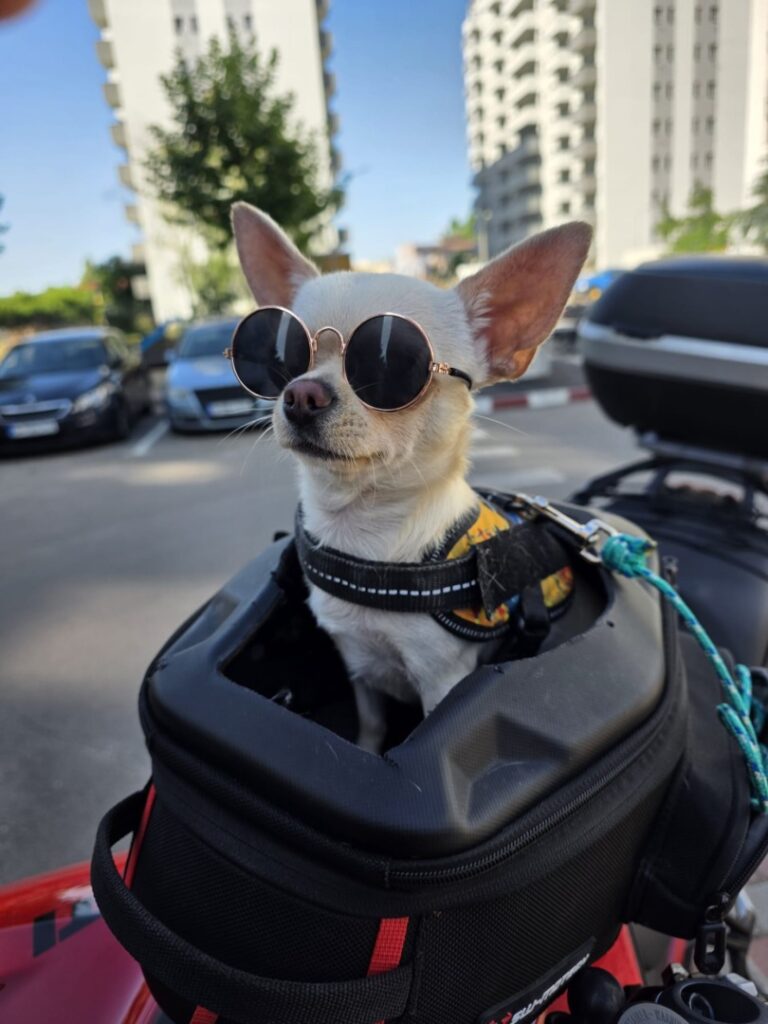 828d6747-79a0-416f-a5eb-e6831471f436