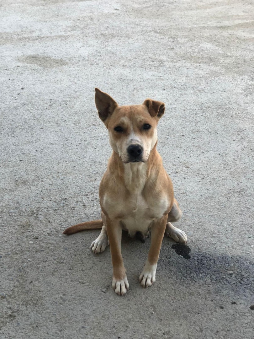 83d6bb48-2d0f-4ad4-8cc7-56318aa2e133