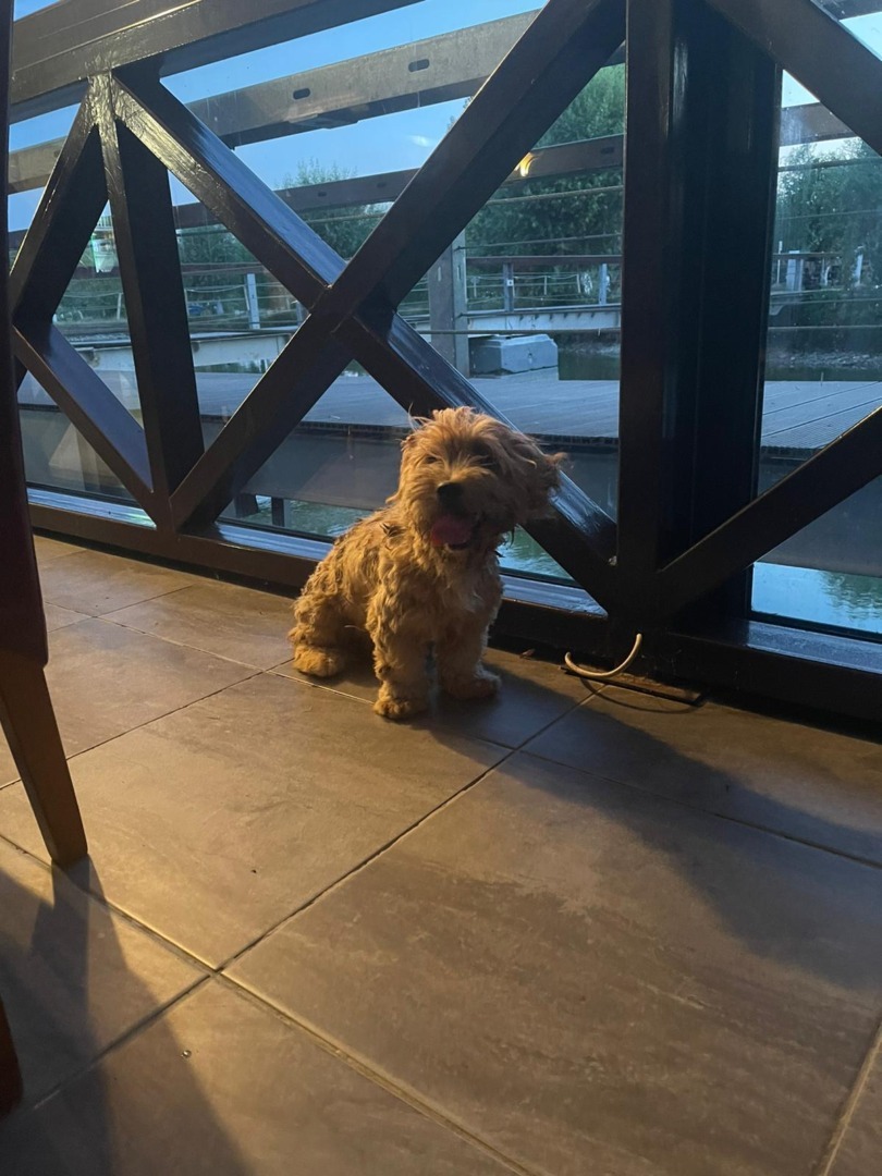 87727be2-637f-437c-a454-cb42ab714414