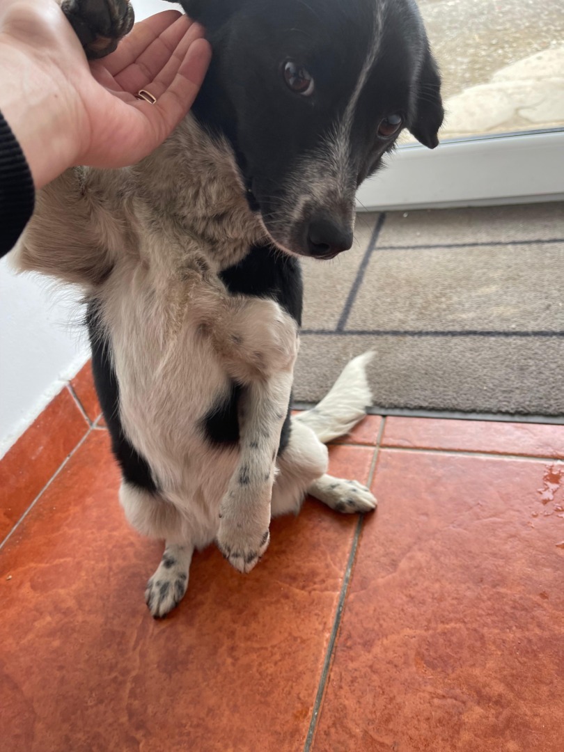 8851333d-5edb-4d0f-9209-7ffed1d6936c