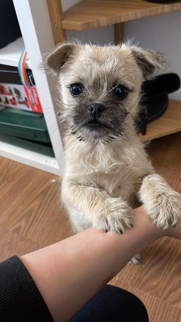 8db1537b-a7bc-4640-b92b-3b14abcc763c