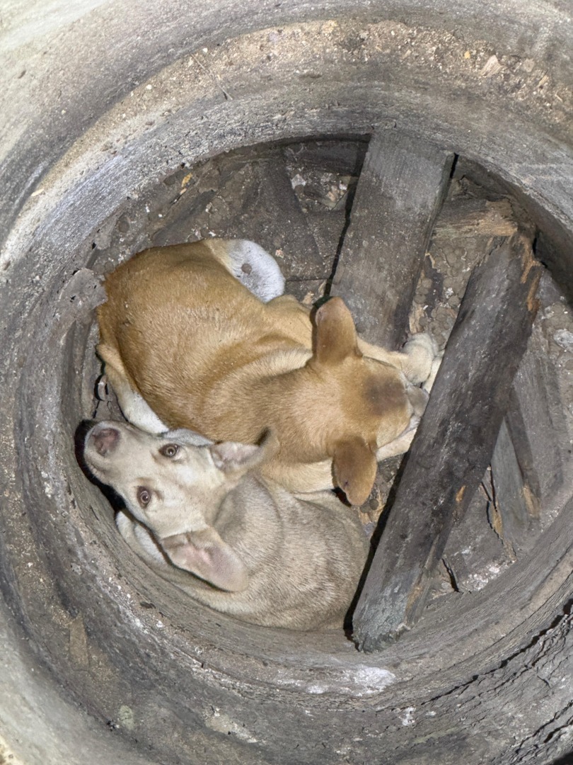 8e90fd14-06b7-4e05-b2b3-4e2e1699637b