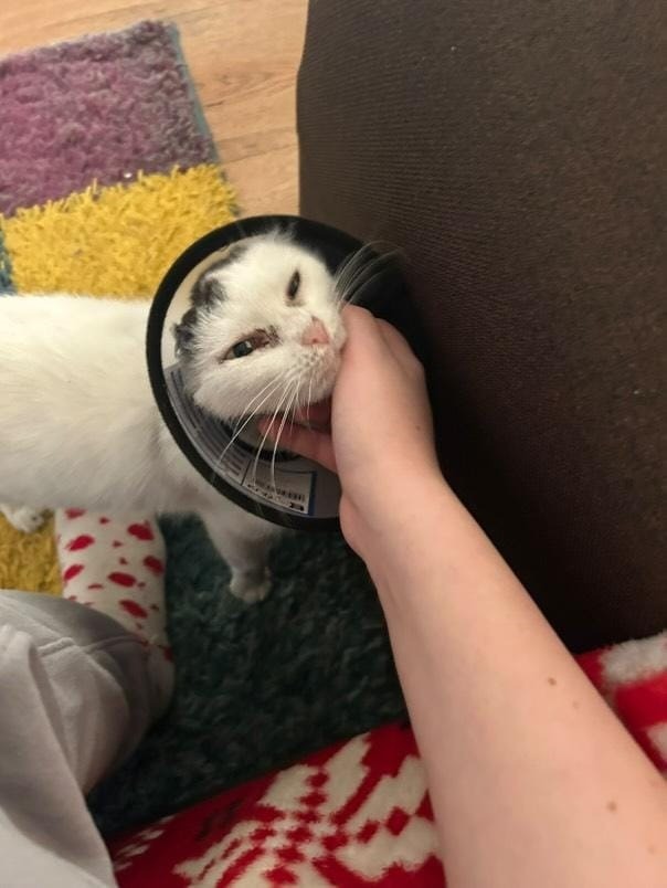 9352618d-7ad7-4a08-bbb7-f900da112cba