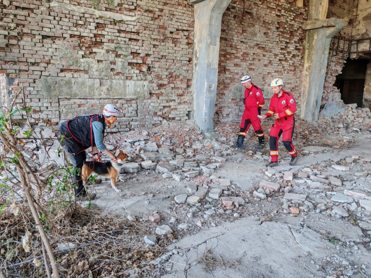 99899294-809f-4db3-90cc-b37a7d8f2fec