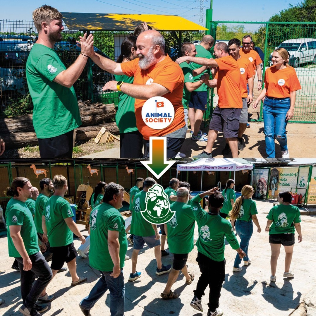 Animal Society fuziune cu Adapostul Speranta