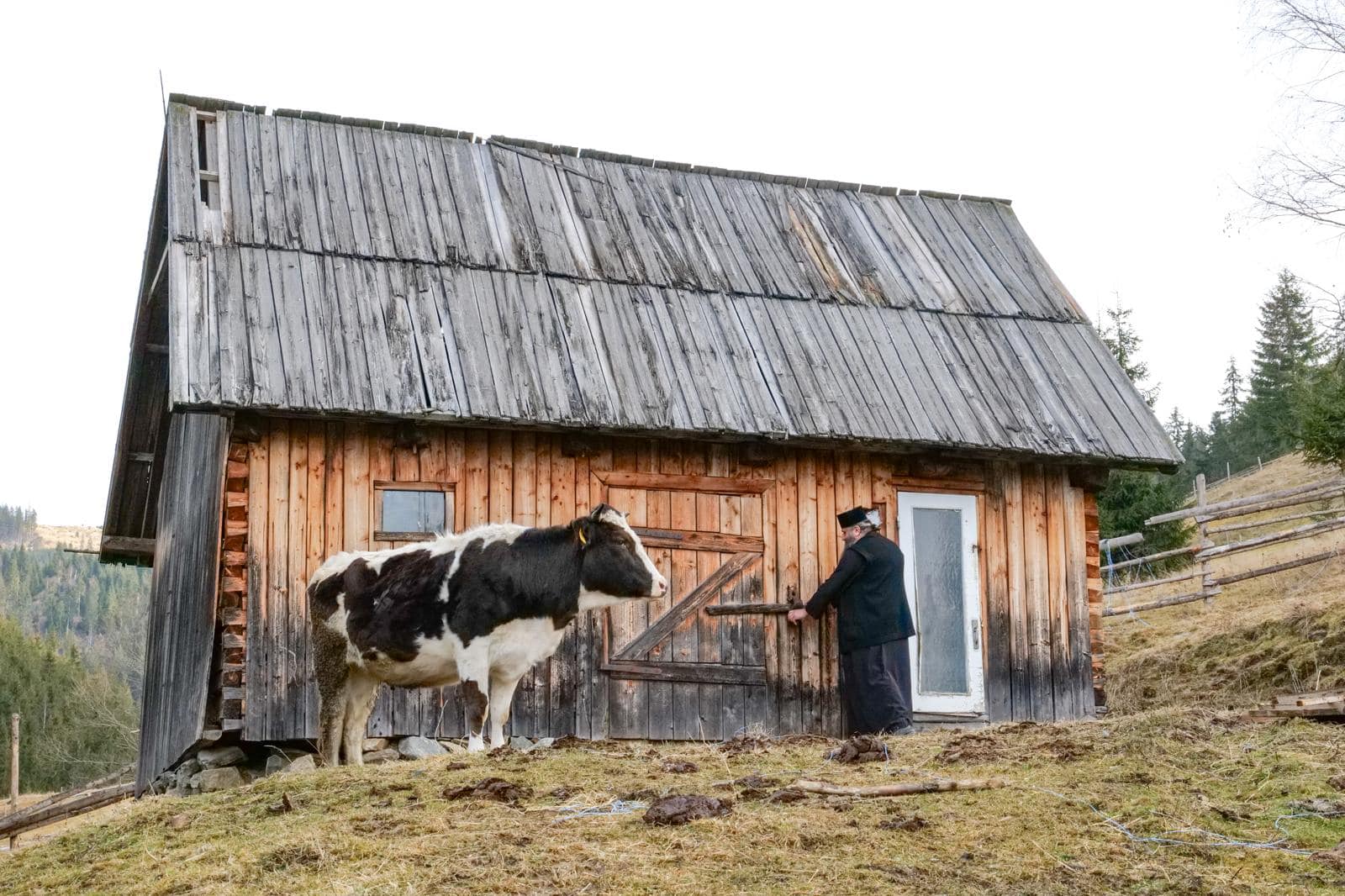 Părintele Macarie Olărean, o vacă și un hambar