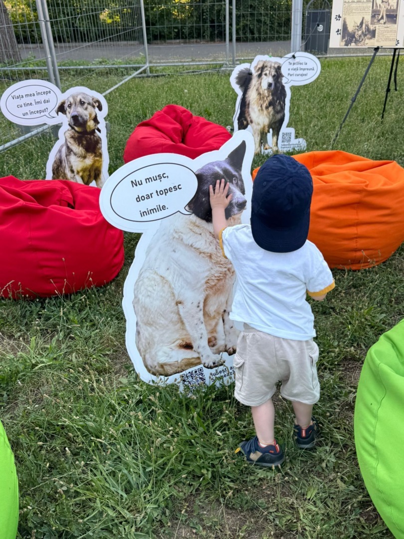 Protecția Animalelor Sector 1, prezentă la Neversea