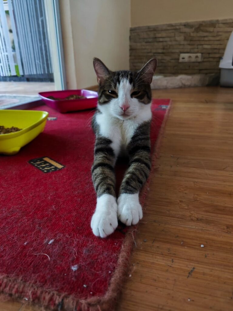 WhatsApp Image 2025-06-27 at 11.52.42 (3)