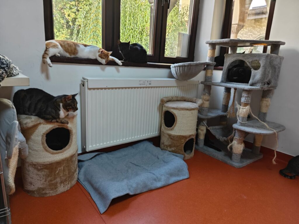 WhatsApp Image 2025-06-27 at 11.52.42 (5)