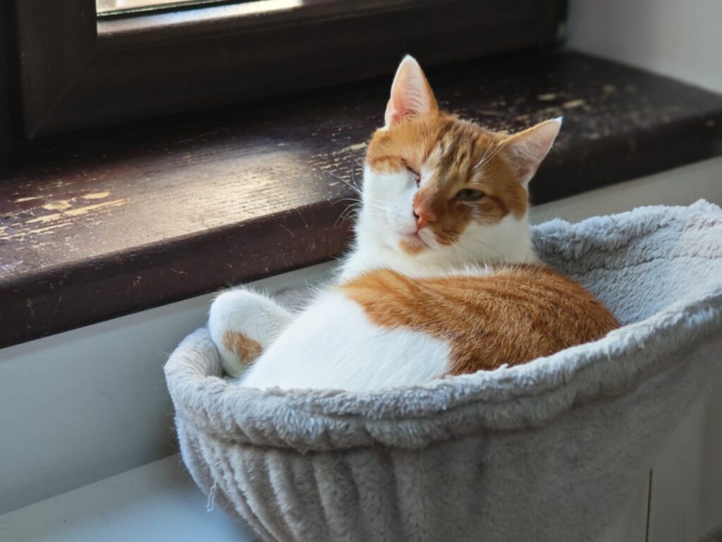 WhatsApp Image 2025-06-27 at 11.52.42 (7)