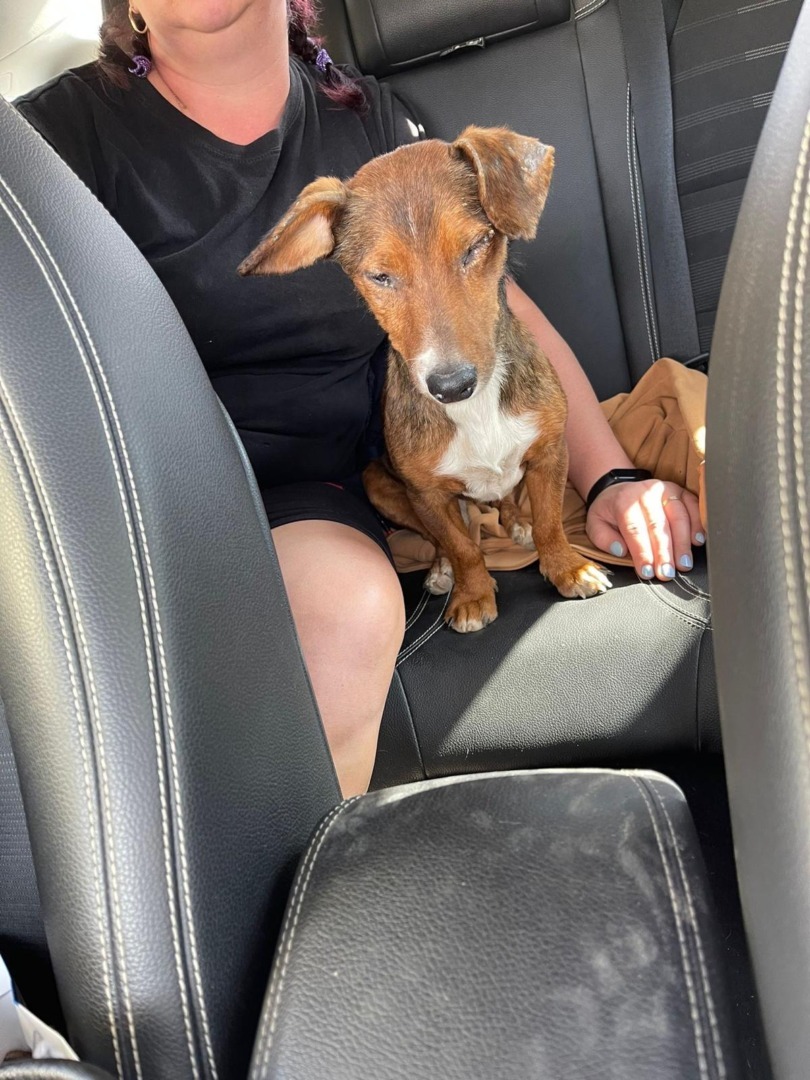 a4969337-abd5-4252-92ec-498b5b109864