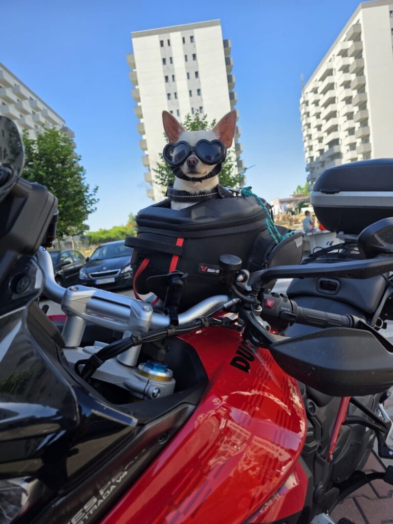 ad78ef95-9f85-44a8-8011-1af16b998739