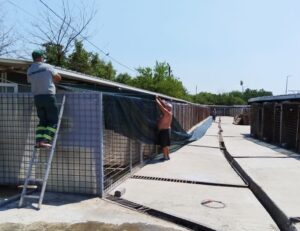 An angajat al adăpostului Odăi repară un padoc