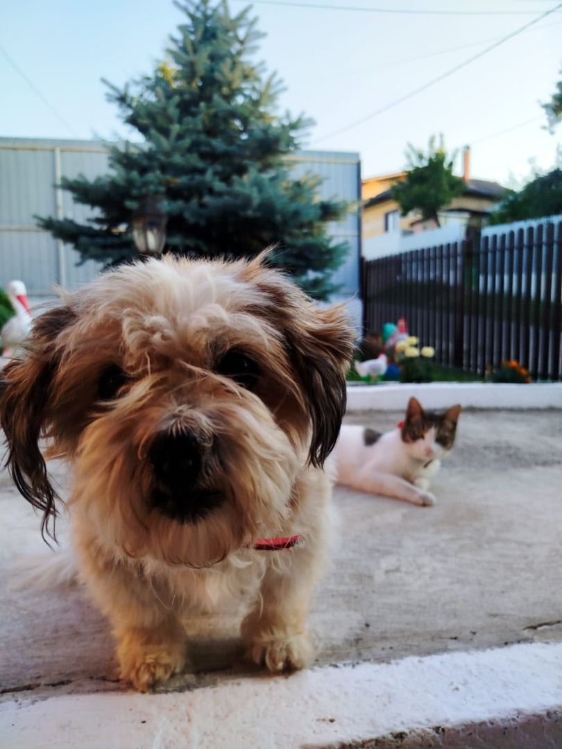 adffc828-7f8d-426a-aaf9-334a3cc09fe3