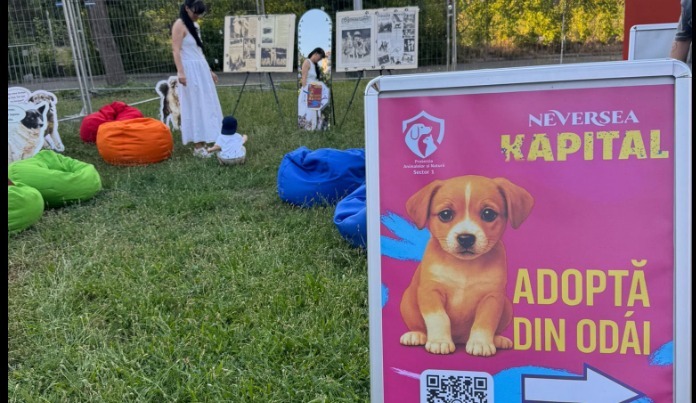 Târg de adopții la Neversea
