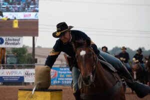 Călăreț și cal din armata SUA