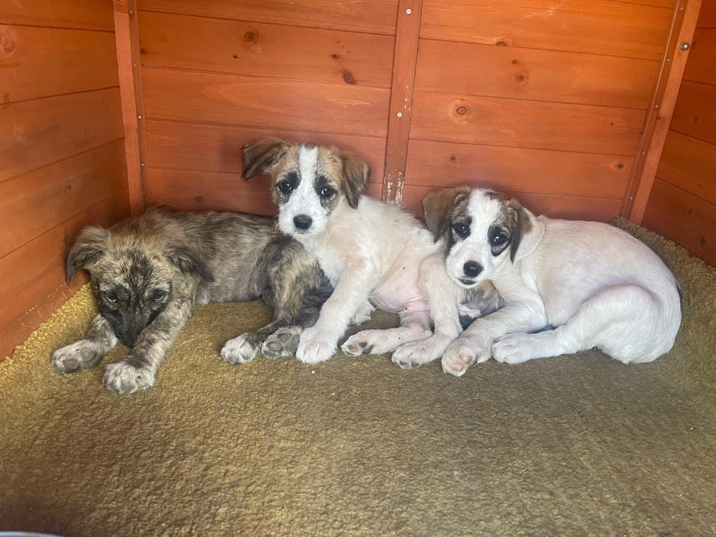 b1aa536b-8326-4060-a9f4-a9f5900f9e88