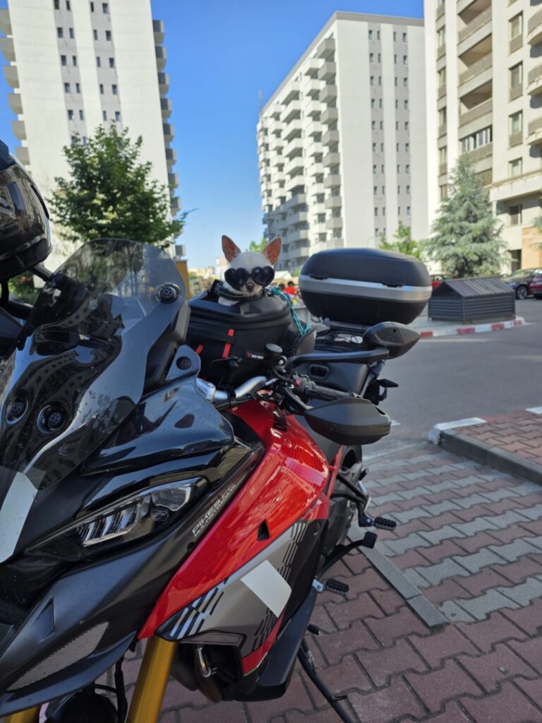 b1af68e8-3468-40a8-82d8-f5b049b32ce4