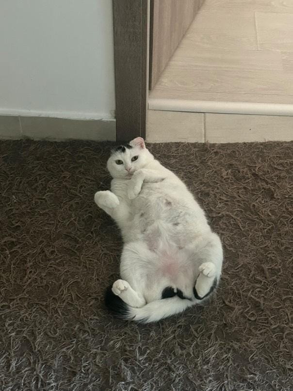 b2c31681-07e5-4a0b-ba65-c2640d9682d7