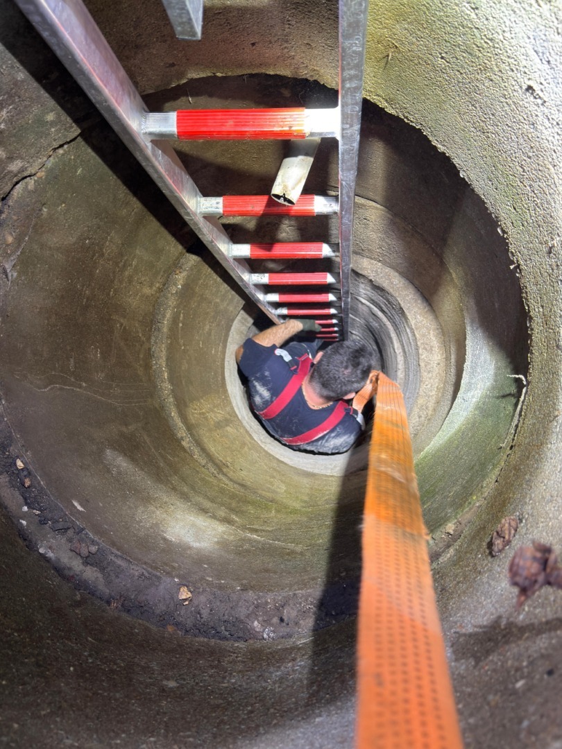 b33758a6-fd74-4561-b138-eadcafa84046