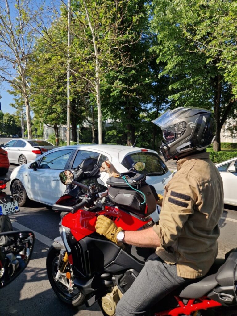 b84ecf0a-835c-47ac-9ad6-495757c81ab2