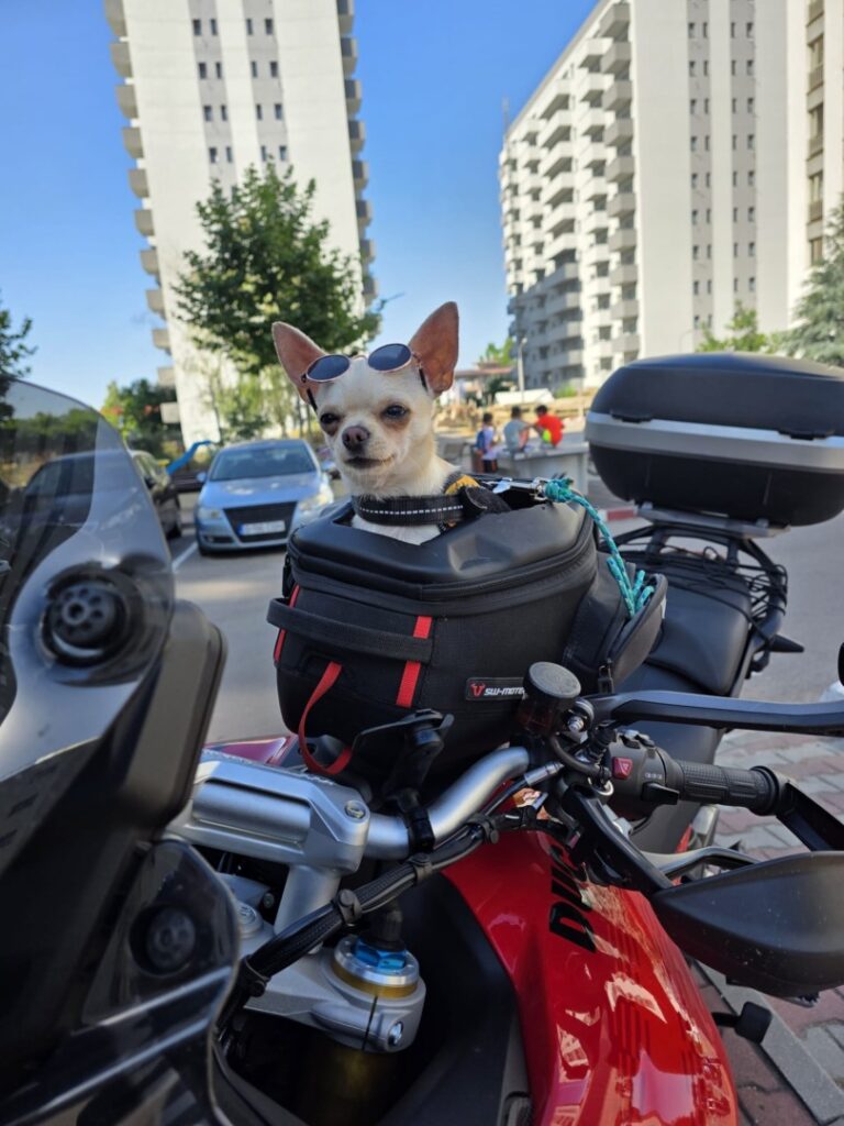 bc345b59-092b-43dc-a8fe-d4a7b8a0c76a