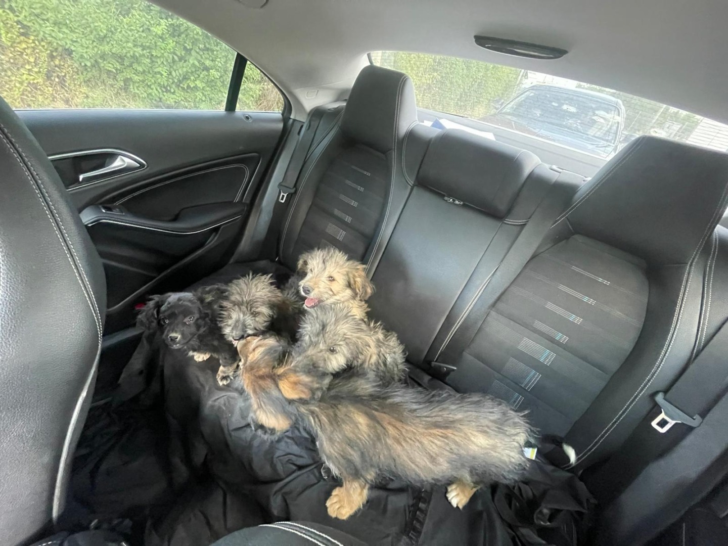 c0d40a0e-6228-48a4-adc4-a94923ad83fb